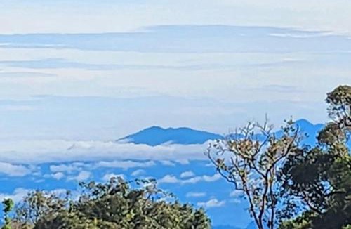 Bukit Fraser Apartment | B661 SilverparkResort -walk up