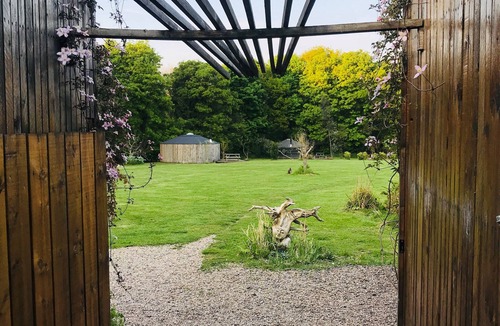 Guisborough Cabin | Baby Moon