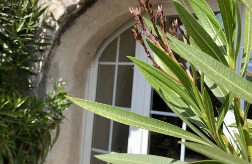 Lagord House | BACK FROM THE BEACH