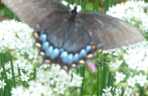 Kilmarnock Bed & Breakfast | Back INN Time B&B