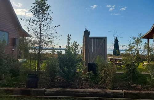 Whakamarama Cabin | Back to Basics in a 5 star location