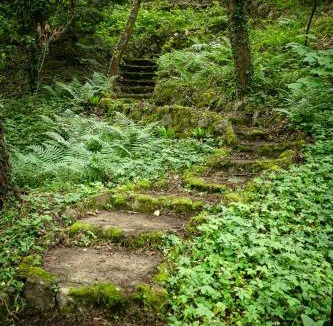 Hardelot-Plage House | Bain de forêt - Lodges Cosy & Spa