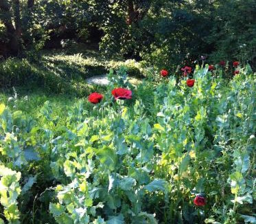 Pylle House | Bake House Cottage