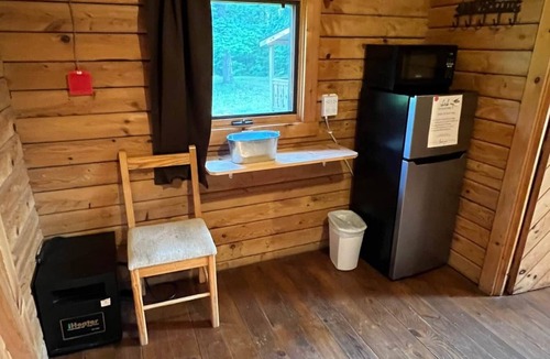 Helmsburg Cabin | "Baker" Camping Cabin #2 | Pet Friendly