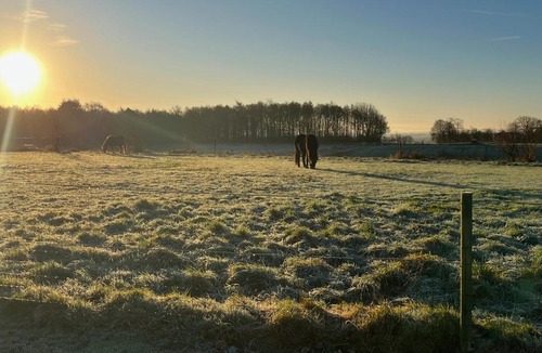 Lystrup Apartment | Bakkely