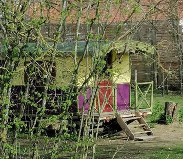 Flacheres Bed & Breakfast | Balad'âne