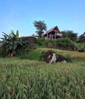 West Selemadeg Villa | Bali Beach Eco Villas Bali Batu Beach Hut
