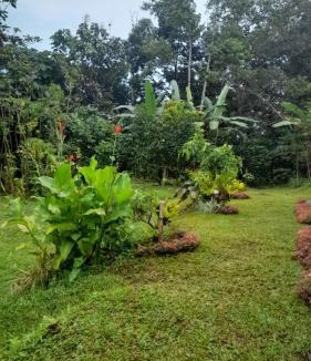 Wongaya Gede House | Bali Home Taksu