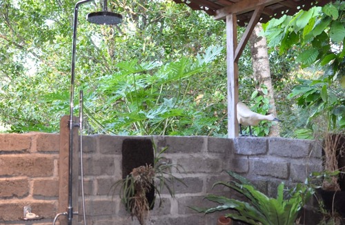 East Selemadeg Bed & Breakfast | Bali Lush