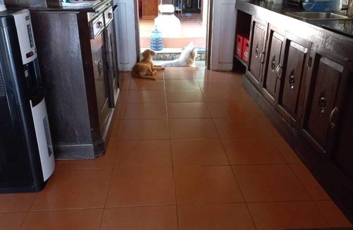 Songan Bed & Breakfast | Bali North Beach Villa