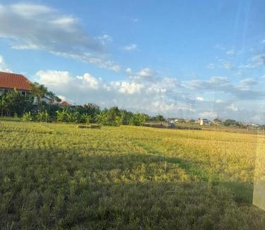 Sidakarya Hostel | Balian Retreat Centre Homestay