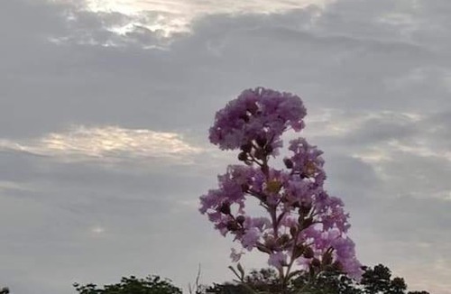 Kota Damansara Villa | Balinese retreat house