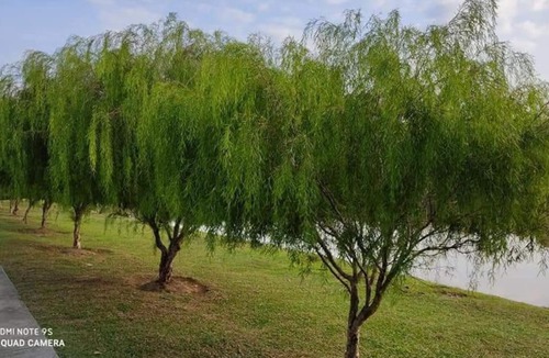 Kota Damansara Villa | Balinese retreat house