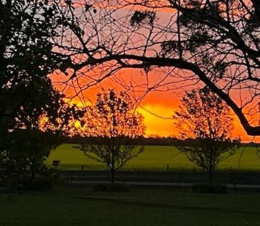 Cardigan House | Ballarat Bliss by Tiny Away