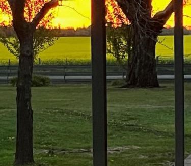 Cardigan House | Ballarat Bliss by Tiny Away