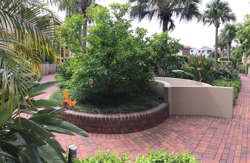 Balmain Apartment | Balmain Dockside 1 bus or ferry stop to CBD