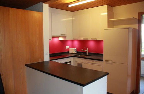 Murren Apartment | Balmi Apartment - in the heart of the Alps