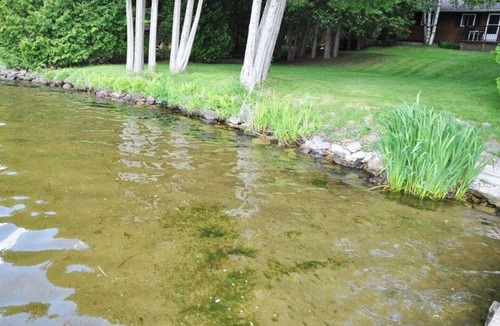 Kawartha Lakes Cottage | Balsam Lake - South Bay Getaway