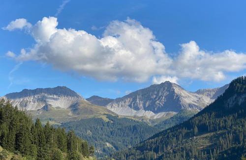 Peist Apartment | Bambi Lodge mit Private Spa auf 1340 m