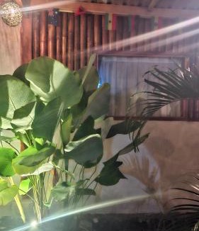 Kecamatan Sikur House | Bamboo Craft Homestay