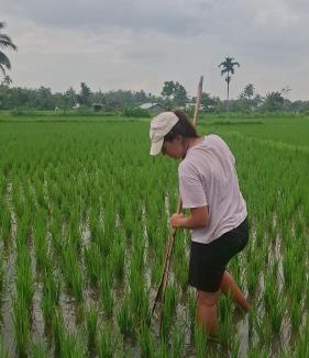 Kecamatan Sikur House | Bamboo Craft Homestay