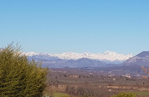 Mison House | Bamboo