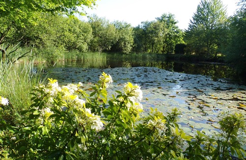 Missillac House | BAMBOO ZEN GITE IN A PEACEFUL NATURAL SETTING PETS WELCOME