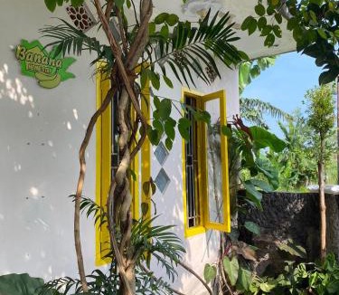Kalipuro House | Banana Homestay