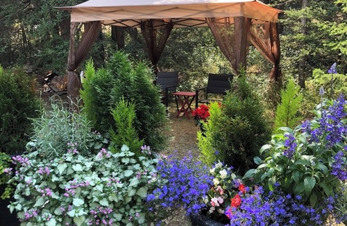 Banff Apartment | Banff's Finest Guest Studio Glacier Studios