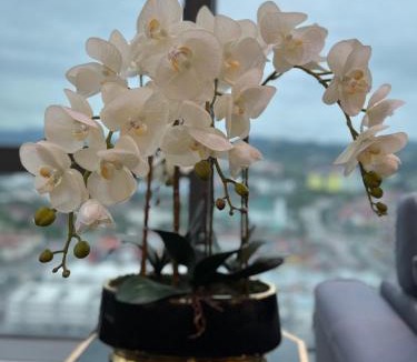 Bangi Sentral Apartment | Bangi Evo Luxury Suite