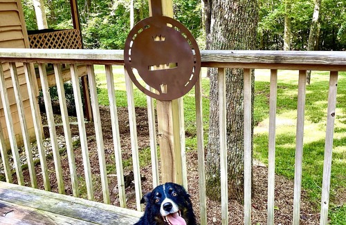 Moravian Falls Cabin | Banjo’s Cabin