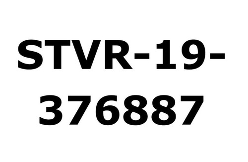 Kailua-Kona House | Banyan Tree #305