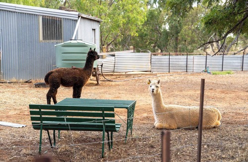 Banyena House | Banyena Homestead by Tiny Away