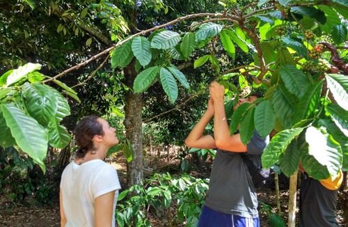 Banyuwangi House | Banyu Homestay