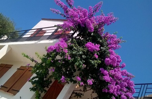 Banyuls-sur-Mer Villa | Banyuls-Sur-Mer Fabulous family villa. Short walk to beach. Private pool.