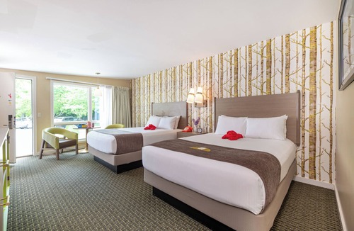 Bar Harbor Hotel | Bar Harbor Motel