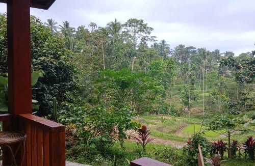 Tetebatu House | Bareng Homestay Tetebatu