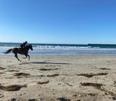 Warrnambool House | Barkly Beach House Warrnambool