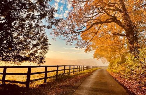 Graffham House | Barn Cottage -Westerlands