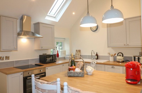 Kirk Langley Cottage | Barn Owl