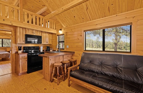 Gilmer Cabin | Barnwell Mountain Cabins #2: Cabin/Tiny Home w/loft in Gilmer across from BMRA