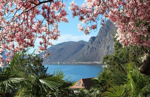 Castagnola Apartment | Barony romantic-residence