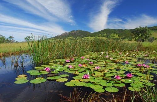 Gloucester House | Barrington Hideaway- River Cottages