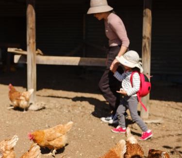 Barrington Villa | Barrington Riverside Cottages