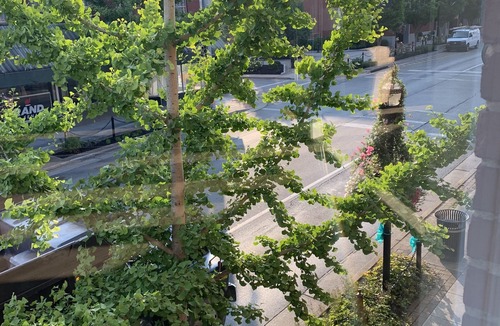 London Apartment | Barrister's Flat