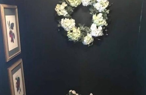 Olean House | Barry Street Historical Home - Partial