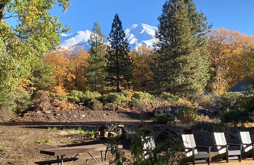 Mount Shasta Cabin | Basecamp Lodge - Cabin 5
