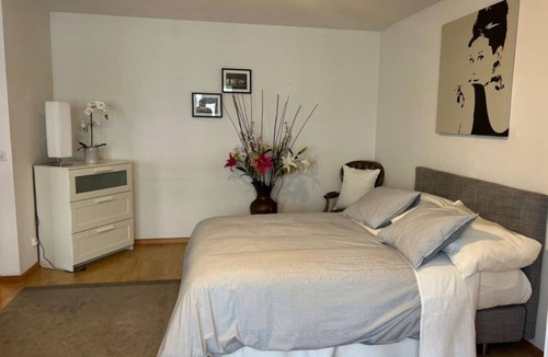 Vorstadte Apartment | Basel Schweiz Apartment 302