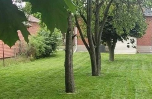 Oshawa House | Basement apartment at 240, Oshawa area