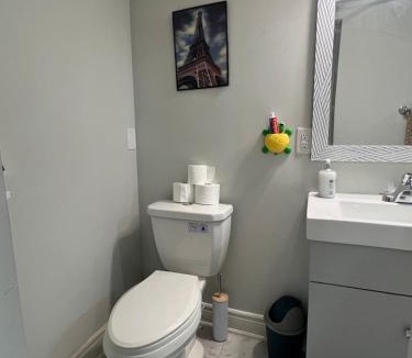 Mount Pleasant Apartment | Basement